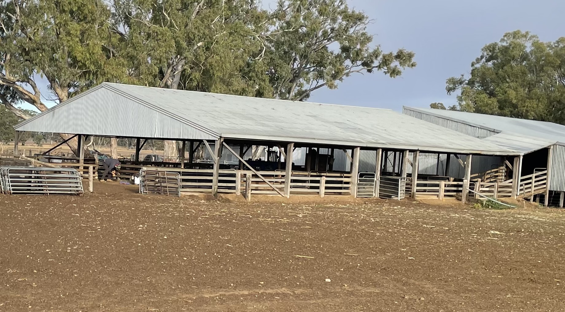 shed 1